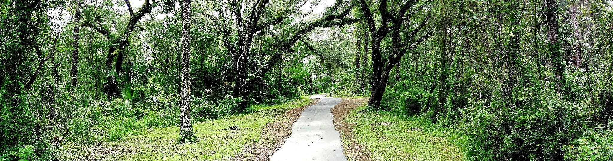 Over 2 miles of pristine walking and fitness trails
